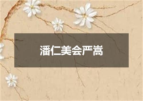 潘仁美会严嵩