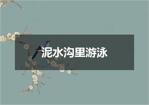 泥水沟里游泳