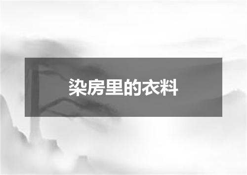 染房里的衣料