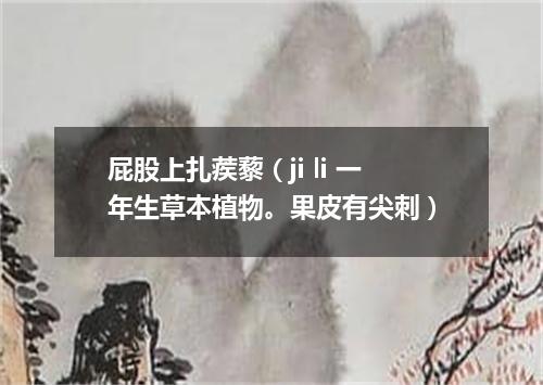 屁股上扎蒺藜（ji li 一年生草本植物。果皮有尖刺）