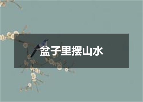 盆子里摆山水