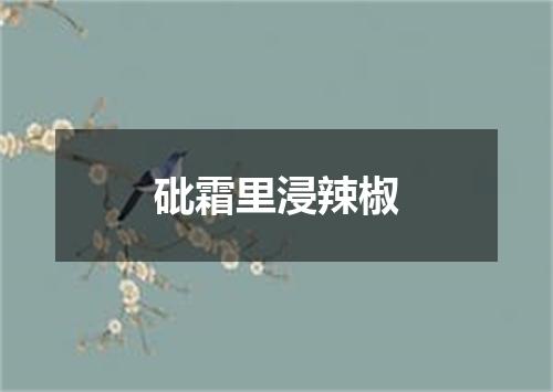 砒霜里浸辣椒