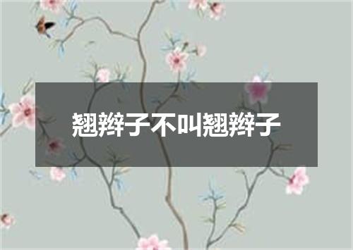 翘辫子不叫翘辫子