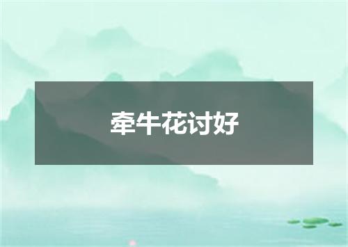 牵牛花讨好