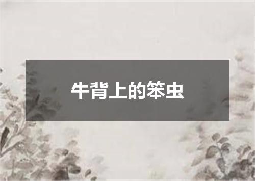 牛背上的笨虫