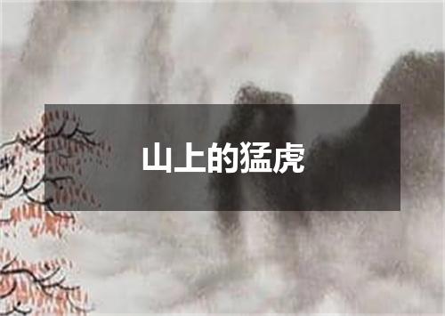 山上的猛虎