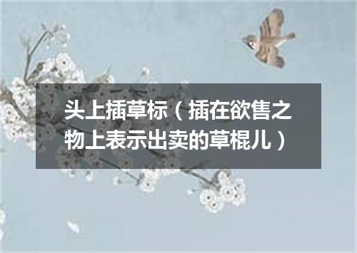 头上插草标（插在欲售之物上表示出卖的草棍儿）