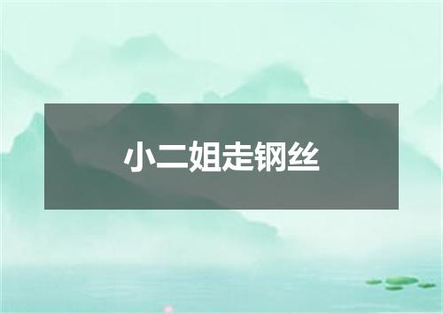 小二姐走钢丝