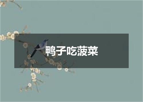 鸭子吃菠菜