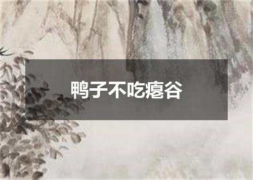 鸭子不吃瘪谷