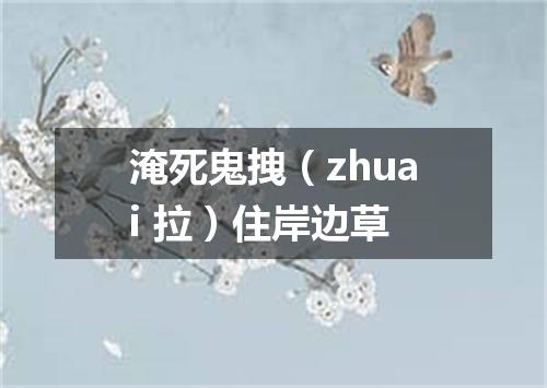 淹死鬼拽（zhuai 拉）住岸边草