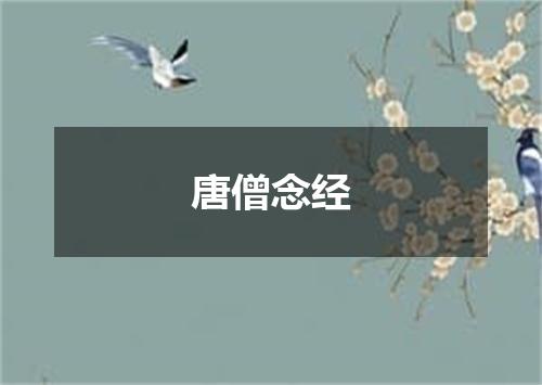唐僧念经