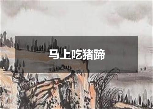 马上吃猪蹄