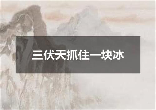 三伏天抓住一块冰