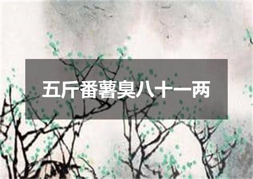 五斤番薯臭八十一两