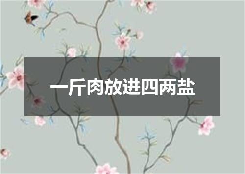 一斤肉放进四两盐