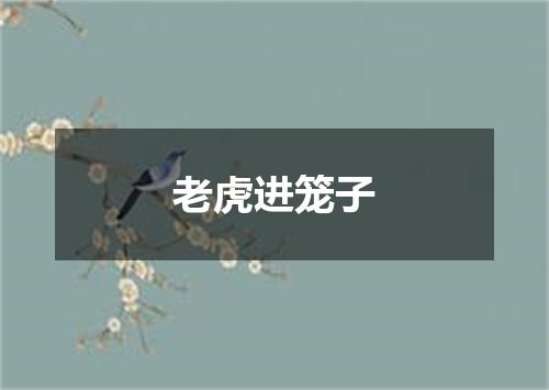 老虎进笼子