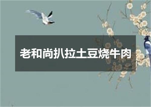 老和尚扒拉土豆烧牛肉