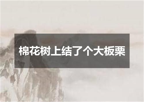 棉花树上结了个大板栗