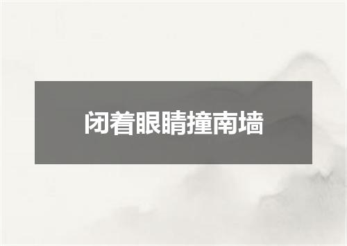 闭着眼睛撞南墙