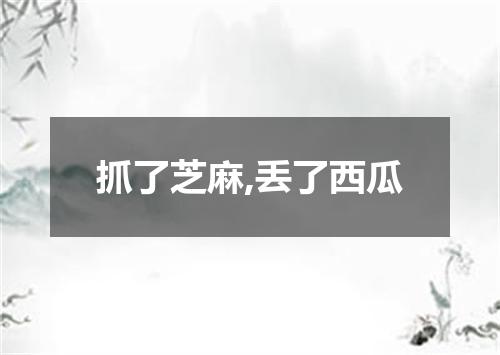 抓了芝麻,丢了西瓜
