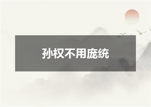孙权不用庞统