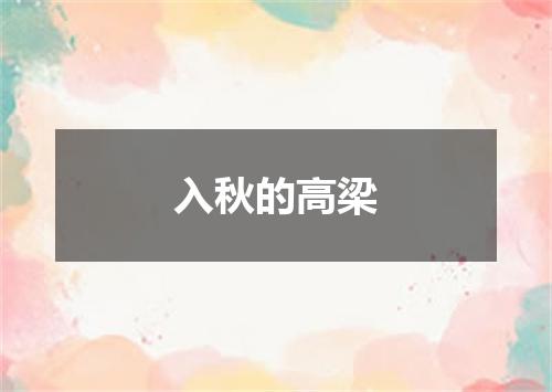 入秋的高梁