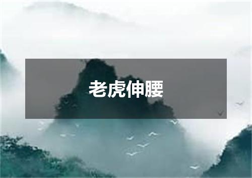 老虎伸腰