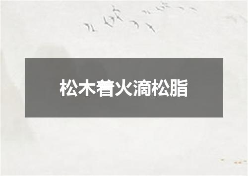 松木着火滴松脂