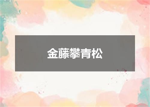 金藤攀青松