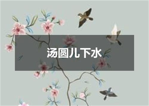 汤圆儿下水