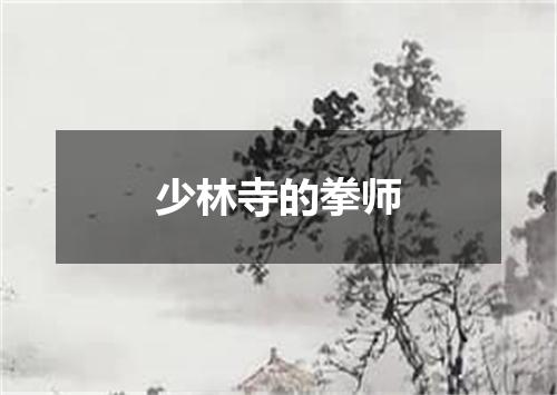 少林寺的拳师