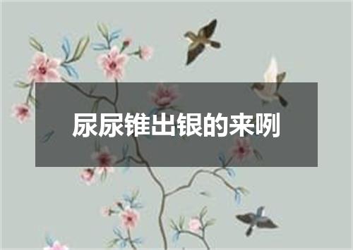 尿尿锥出银的来咧