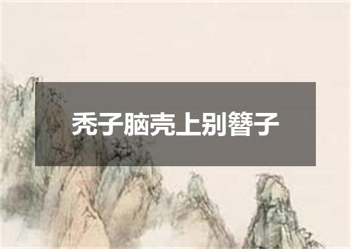 秃子脑壳上别簪子