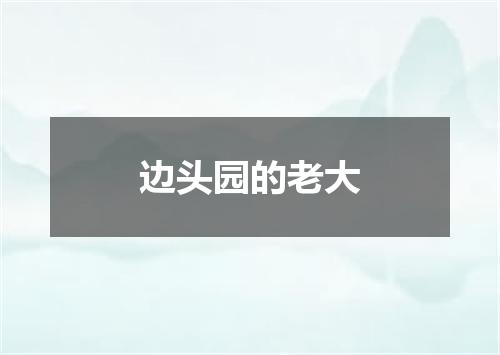 边头园的老大