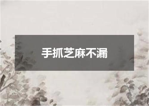 手抓芝麻不漏