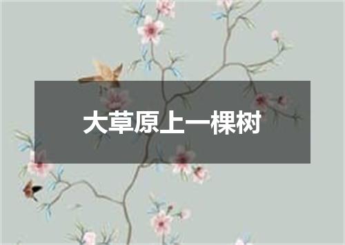 大草原上一棵树