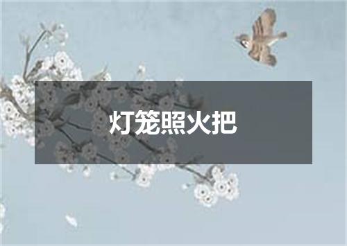 灯笼照火把