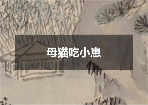 母猫吃小崽