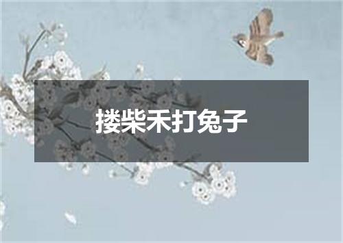 搂柴禾打兔子