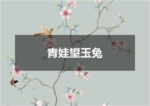 青娃望玉兔