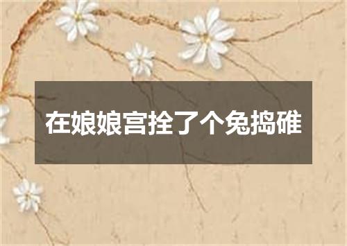 在娘娘宫拴了个兔捣碓