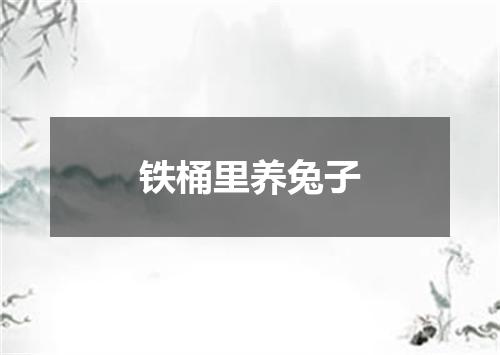 铁桶里养兔子