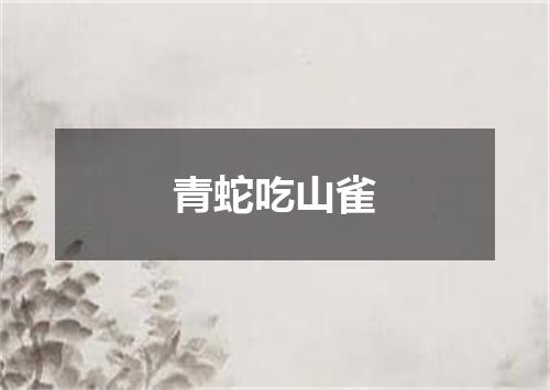 青蛇吃山雀