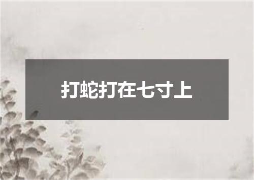 打蛇打在七寸上