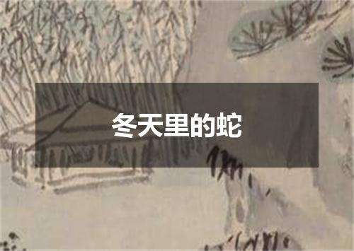 冬天里的蛇