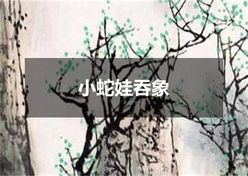 小蛇娃吞象