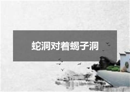蛇洞对着蝎子洞