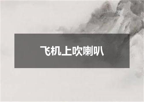 飞机上吹喇叭