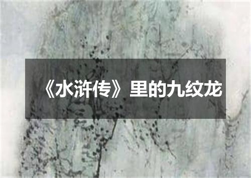《水浒传》里的九纹龙